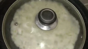 Roasting-rotti