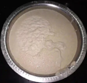 Fermented-Dosa-Batter Fermented-Dosa-Batter